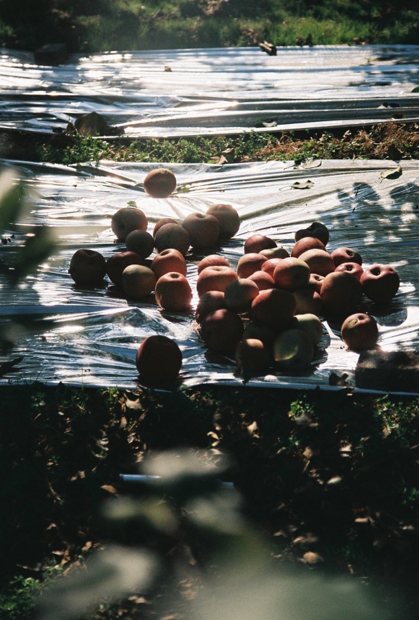 http://www.jnghzn.com/files/gimgs/th-11_000028_v2.jpg