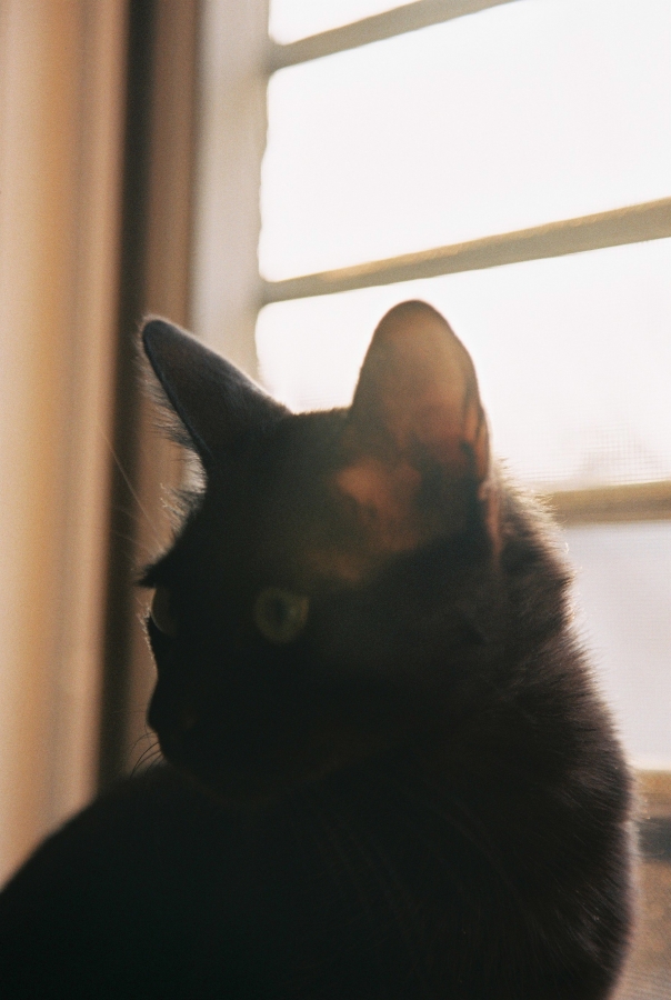 http://www.jnghzn.com/files/gimgs/th-12_000012.jpg