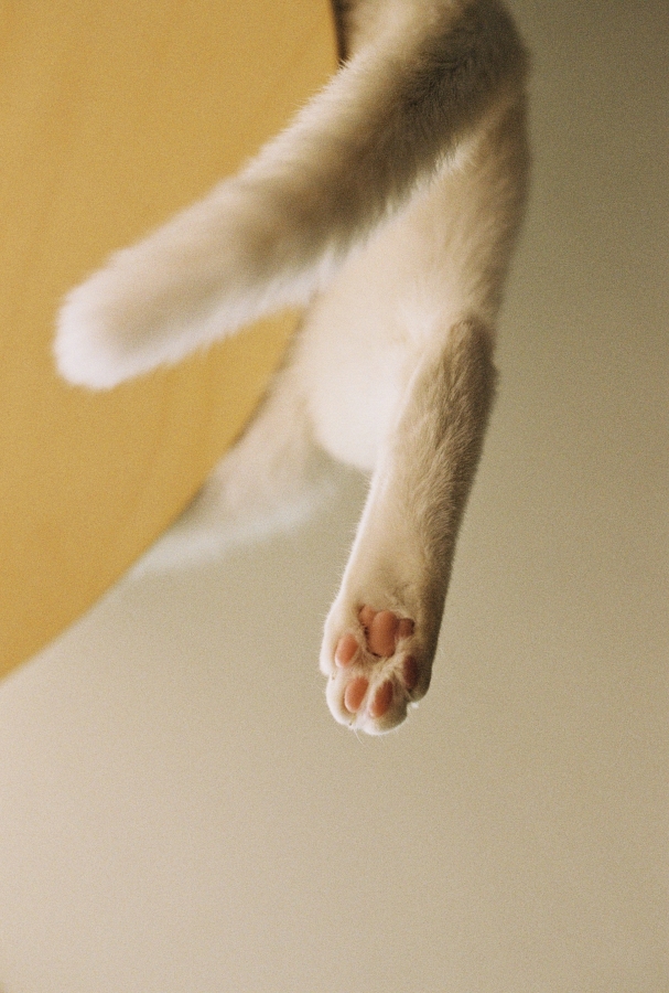 http://www.jnghzn.com/files/gimgs/th-12_IMG_4224.jpg