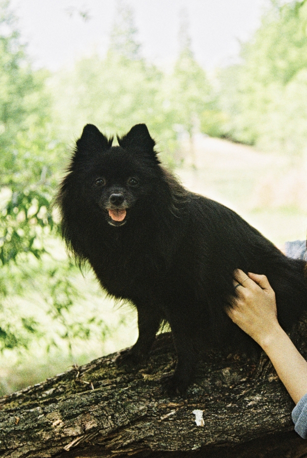 http://www.jnghzn.com/files/gimgs/th-47_13.jpg